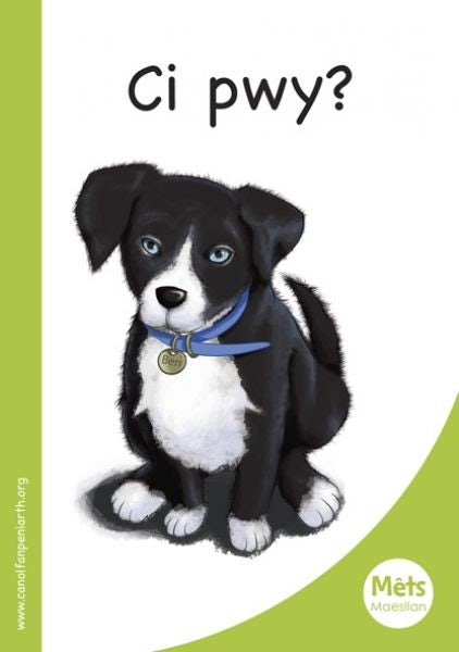 Cover image for Mêts Maesllan: Ci Pwy?, isbn: 9781783900312