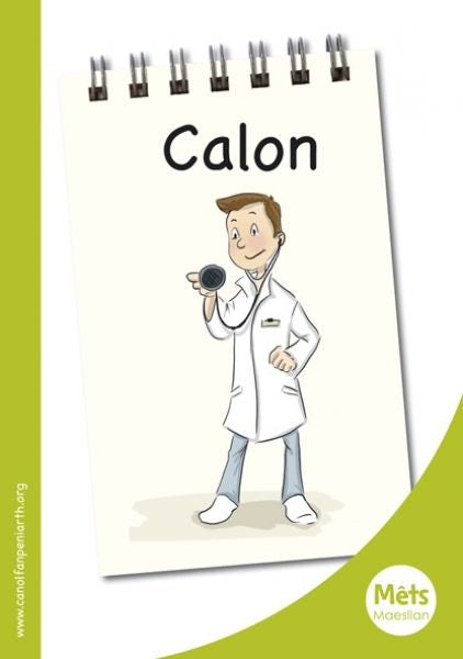 Cover image for Mêts Maesllan: Calon, isbn: 9781783900329
