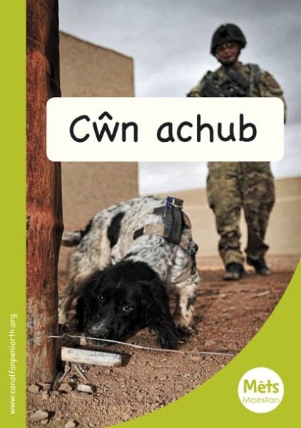 Cover image for Mêts Maesllan: Cŵn Achub, isbn: 9781783900336