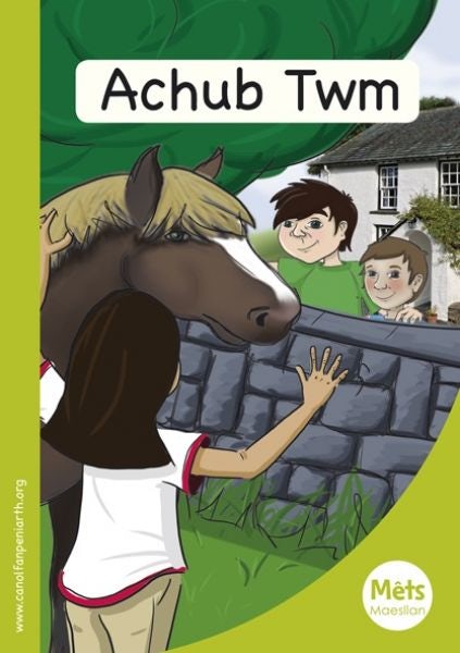 Cover image for Mêts Maesllan: Achub Twm, isbn: 9781783900374