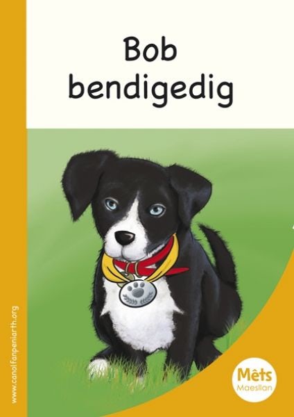 Cover image for Mêts Maesllan: Bob Bendigedig, isbn: 9781783900459