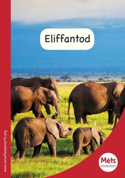 Cover image for Mêts Maesllan: Eliffantod, isbn: 9781783900510