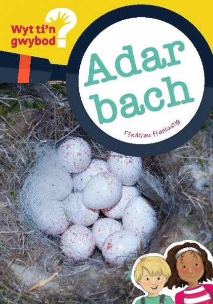 Cover image for Cyfres Wyt Ti'n Gwybod?: Adar Bach, isbn: 9781783901074