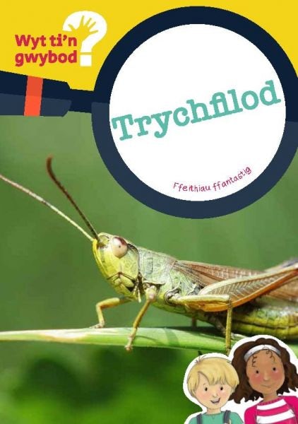 Cover image for Cyfres Wyt Ti'n Gwybod?: Trychfilod, isbn: 9781783901289
