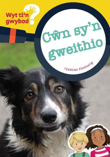 Cover image for Cyfres Wyt Ti'n Gwybod?: Cŵn Sy'n Gweithio, isbn: 9781783901326