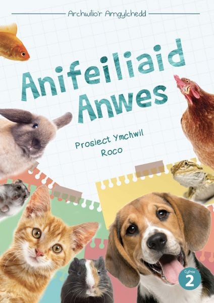 Cover image for Cyfres Archwilio'r Amgylchedd: Anifeiliaid Anwes, isbn: 9781783902170