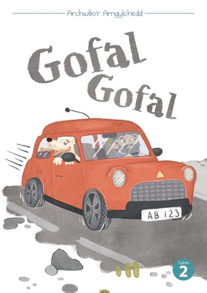 Cover image for Cyfres Archwilio'r Amgylchedd: Gofal Gofal, isbn: 9781783902316