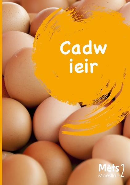 Cover image for Mêts Maesllan 2 - Cadw Ieir, isbn: 9781783903894