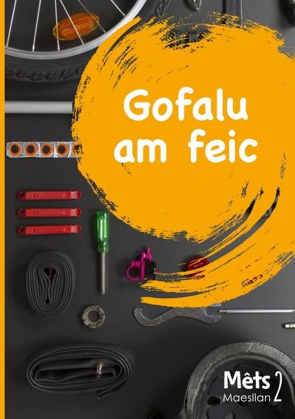 Cover image for Mêts Maesllan 2 - Gofalu am Feic, isbn: 9781783903931