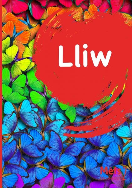 Cover image for Mêts Maesllan 2 - Lliw, isbn: 9781783903986
