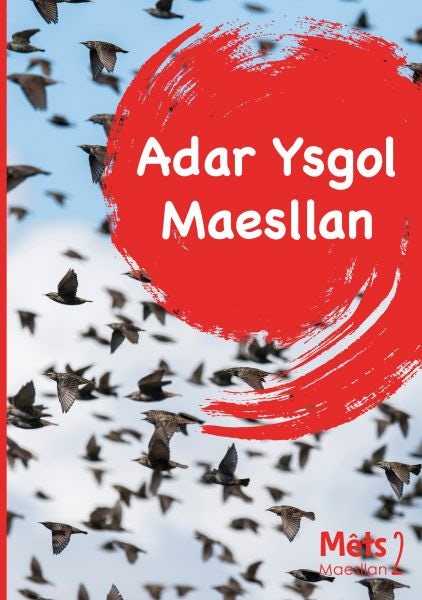 Cover image for Mêts Maesllan 2 - Adar Ysgol Maesllan, isbn: 9781783904013