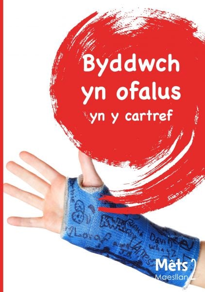 Cover image for Mêts Maesllan 2 - Byddwch yn Ofalus yn y Cartref, isbn: 9781783904037