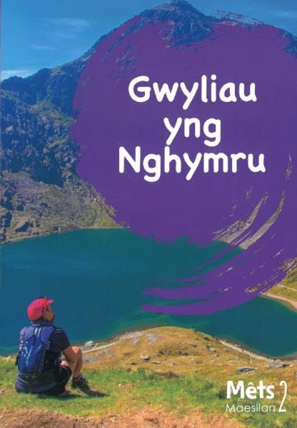 Cover image for Mêts Maesllan 2 - Gwyliau yng Nghymru, isbn: 9781783904105
