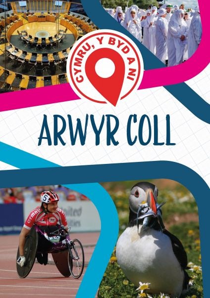 Cover image for Cymru, Y Byd a Ni: Arwyr Coll, isbn: 9781783904167