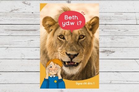 Cover image for Dyna Chi Dric: Beth Ydw I?, isbn: 9781783904495
