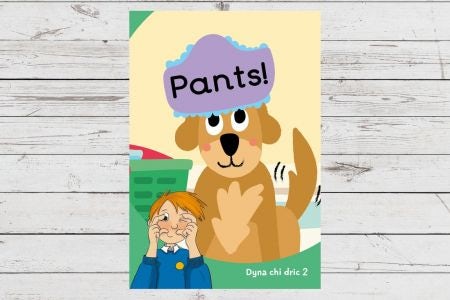 Cover image for Dyna Chi Dric: Pants, isbn: 9781783904532