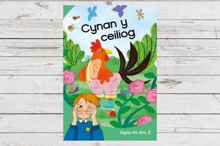 Cover image for Dyna Chi Dric: Cynan y Ceiliog, isbn: 9781783904549