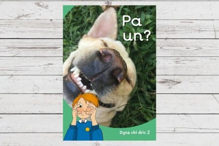 Cover image for Dyna Chi Dric: Pa Un?, isbn: 9781783904556