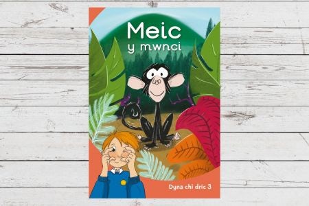 Cover image for Dyna Chi Dric: Meic y Mwnci, isbn: 9781783904587