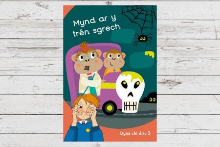 Cover image for Dyna Chi Dric: Mynd ar y Trên Sgrech, isbn: 9781783904600