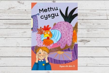 Cover image for Dyna Chi Dric: Methu Cysgu, isbn: 9781783904617