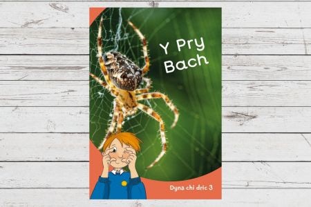 Cover image for Dyna Chi Dric: Y Pry Bach, isbn: 9781783904624