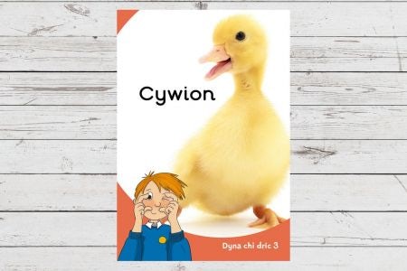 Cover image for Dyna Chi Dric: Cywion, isbn: 9781783904631