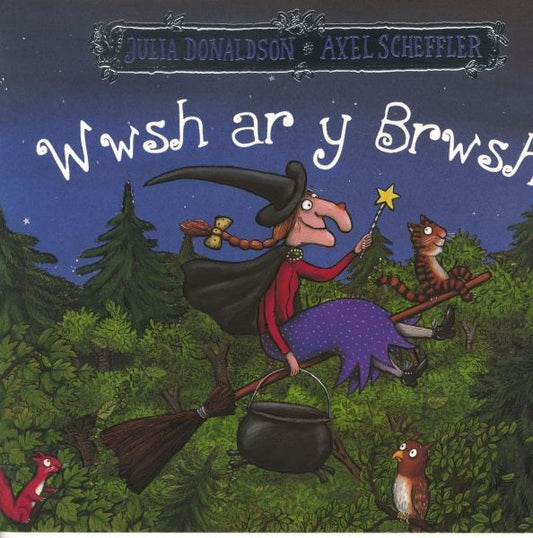 Cover image for Wwsh ar y Brwsh, isbn: 9781784231705