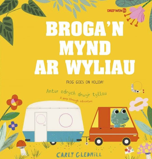 Cover image for Broga'n Mynd ar Wyliau / Frog Goes on Holiday, isbn: 9781784231798