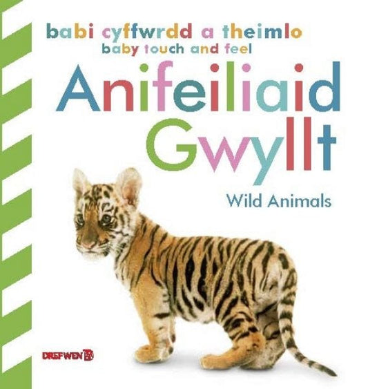 Cover image for Babi Cyffwrdd a Theimlo: Anifeiliaid Gwyllt / Baby Touch and Feel: Wild Animals, isbn: 9781784232115
