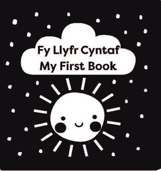Cover image for Fy Llyfr Cyntaf / My First Book, isbn: 9781784232566