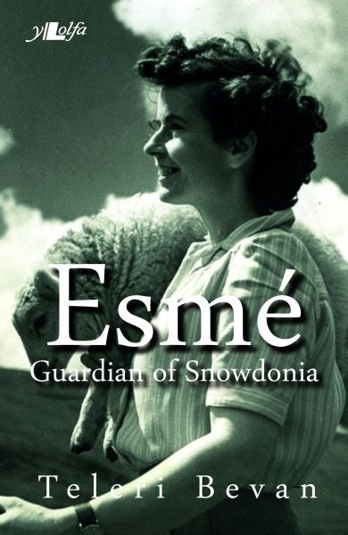 Cover image for Esmé - Guardian of Snowdonia, isbn: 9781784610951
