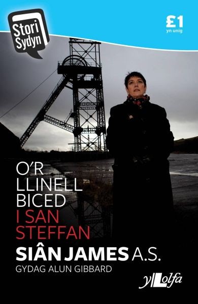 Cover image for Stori Sydyn: O'r Llinell Biced i San Steffan, isbn: 9781784611132