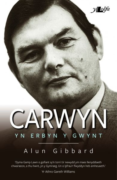 Cover image for Carwyn - yn Erbyn y Gwynt, isbn: 9781784611644