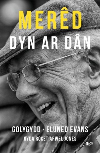 Cover image for Merêd - Dyn ar Dân, isbn: 9781784612504