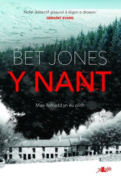 Cover image for Y Nant, isbn: 9781784613242