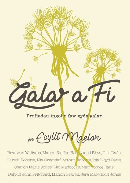 Cover image for Galar a Fi, isbn: 9781784614133