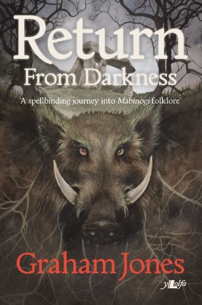 Cover image for Return From Darkness, isbn: 9781784614812