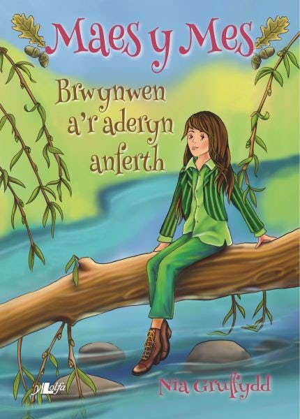 Cover image for Cyfres Maes y Mes: Brwynwen a'r Aderyn Anferth, isbn: 9781784616014