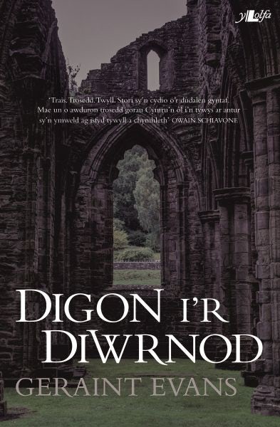 Cover image for Digon i'r Diwrnod, isbn: 9781784616236