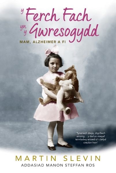 Cover image for Y Ferch Fach yn y Gwresogydd, isbn: 9781784617622