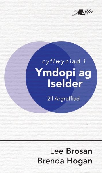 Cover image for Cyflwyniad i Ymdopi ag Iselder, isbn: 9781784617646