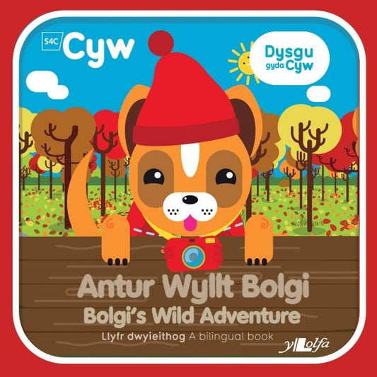 Cover image for Cyfres Cyw: Antur Wyllt Bolgi / Bolgi's Wild Adventure, isbn: 9781784618025