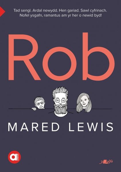 Cover image for Cyfres Amdani: Rob, isbn: 9781784618674
