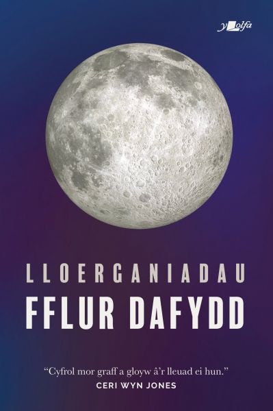 Cover image for Lloerganiadau, isbn: 9781784618735