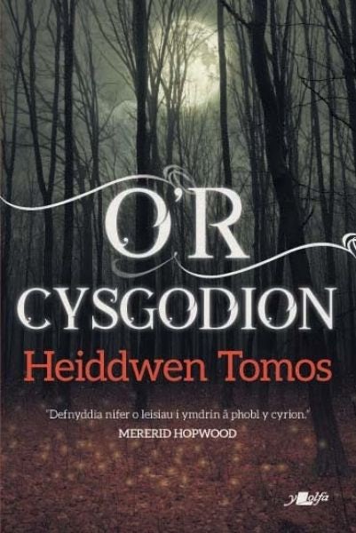 Cover image for O'r Cysgodion - Casgliad o Straeon Byrion, isbn: 9781784619053