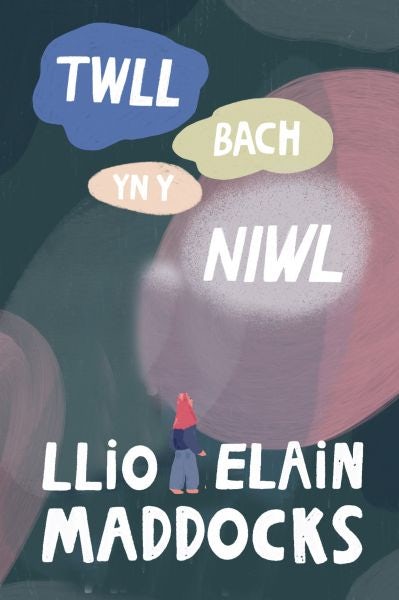 Cover image for Twll Bach yn y Niwl, isbn: 9781784619565
