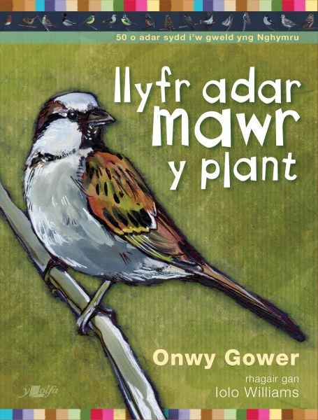 Cover image for Llyfr Adar Mawr y Plant, isbn: 9781784619893