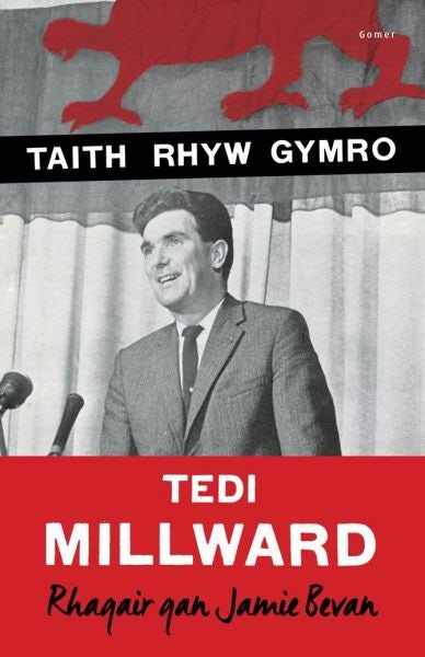 Cover image for Taith Rhyw Gymro, isbn: 9781785620171