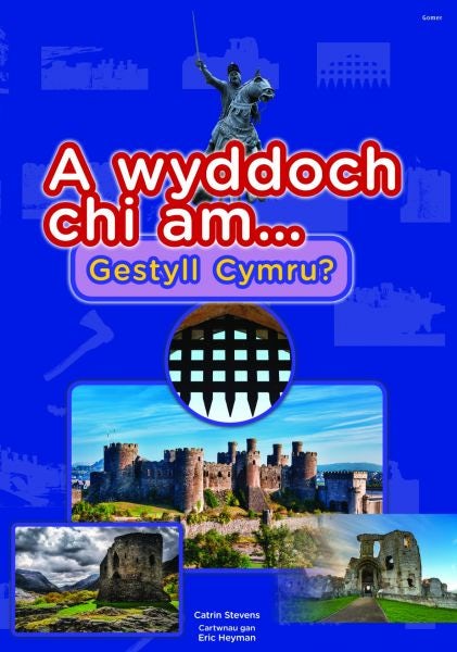 Cover image for Cyfres a Wyddoch chi: A Wyddoch Chi am Gestyll Cymru?, isbn: 9781785620218